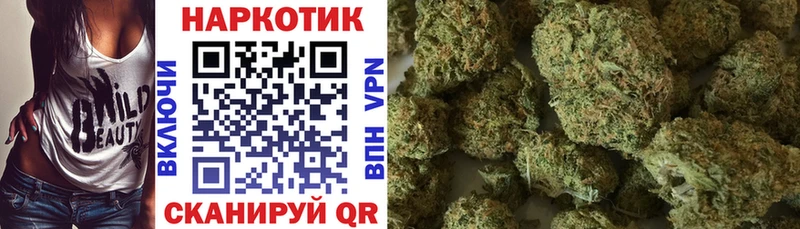 A PVP Кашин