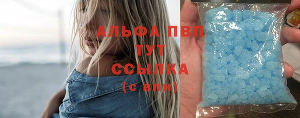 прущие грибы Александровское