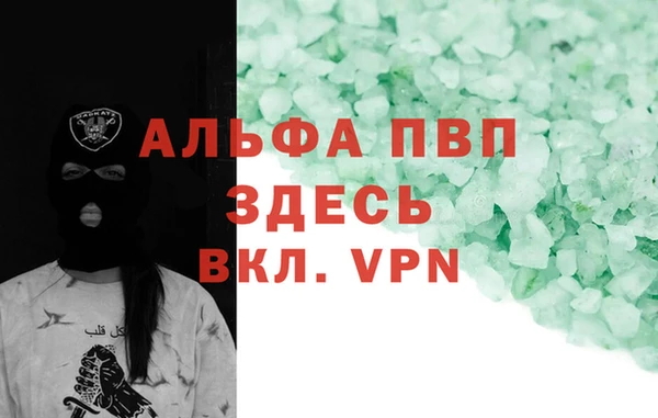 прущие грибы Александровское
