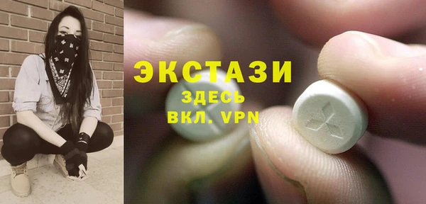 прущие грибы Александровское