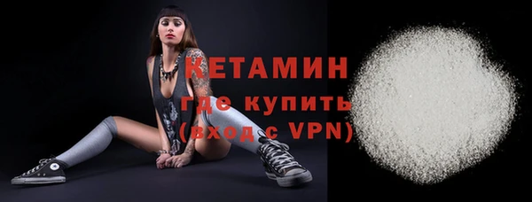 прущие грибы Александровское