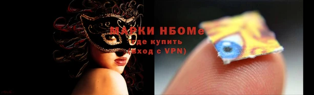 прущие грибы Александровское