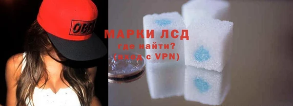 прущие грибы Александровское