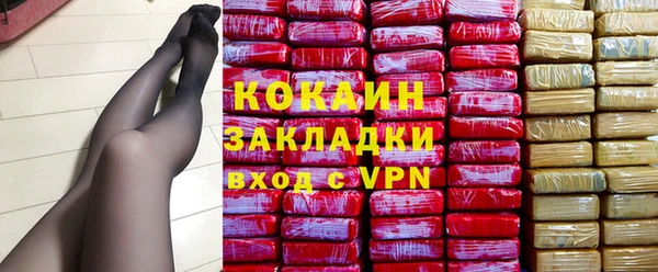 прущие грибы Александровское