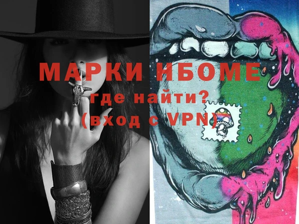 прущие грибы Александровское