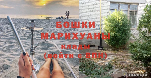 прущие грибы Александровское