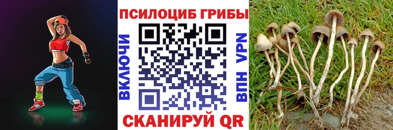 Псилоцибиновые грибы прущие грибы  blacksprut как зайти  Кашин 