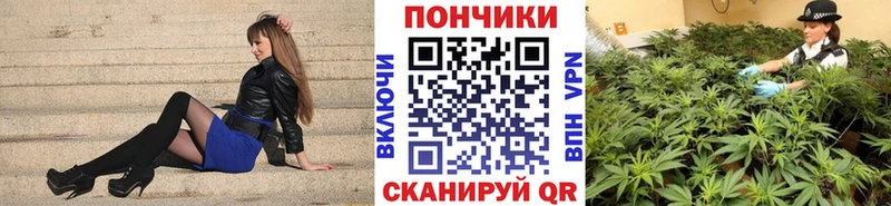 где купить   Кашин  Бошки марихуана ГИДРОПОН 